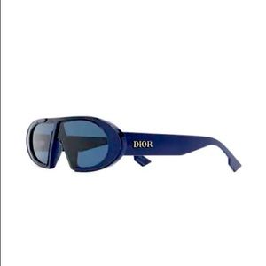 Dior Oblique Oval Acetate Sunglasses In Blue
